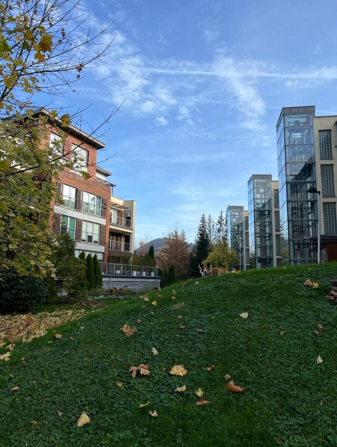 Ustronne Zacisze - Ustron Zdroj Zeta Park Apartment Екстериор снимка